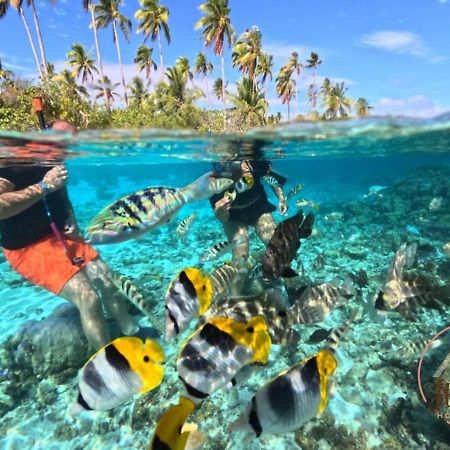 Hutiarii House & Car & Excursions Raiatea Villa Tevaitoa Ngoại thất bức ảnh