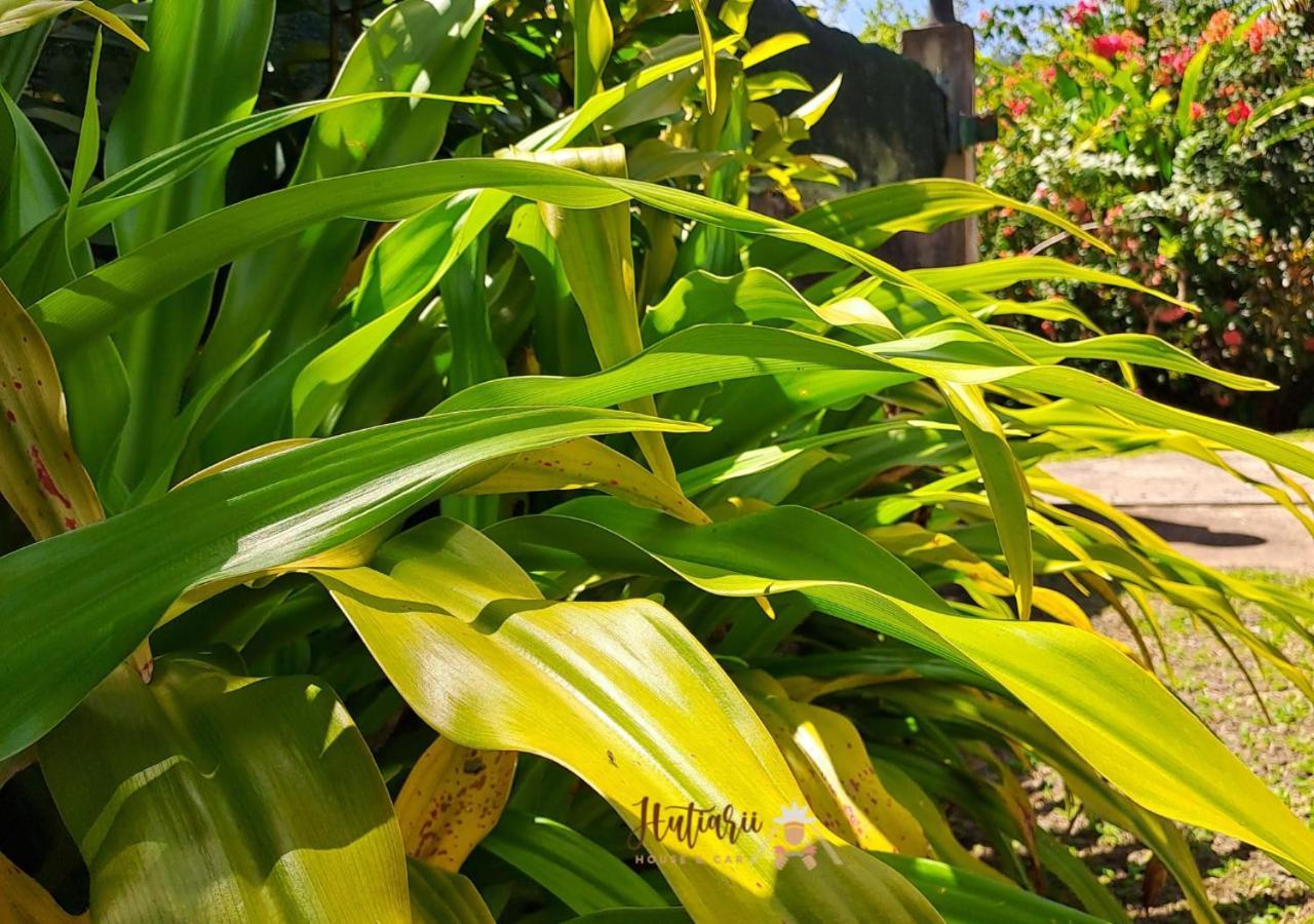 Hutiarii House & Car & Excursions Raiatea Villa Tevaitoa Ngoại thất bức ảnh