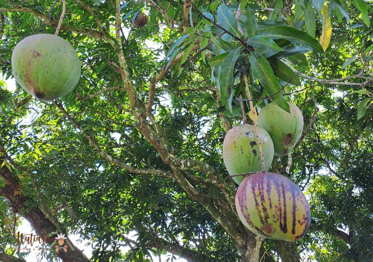 Hutiarii House & Car & Excursions Raiatea Villa Tevaitoa Ngoại thất bức ảnh
